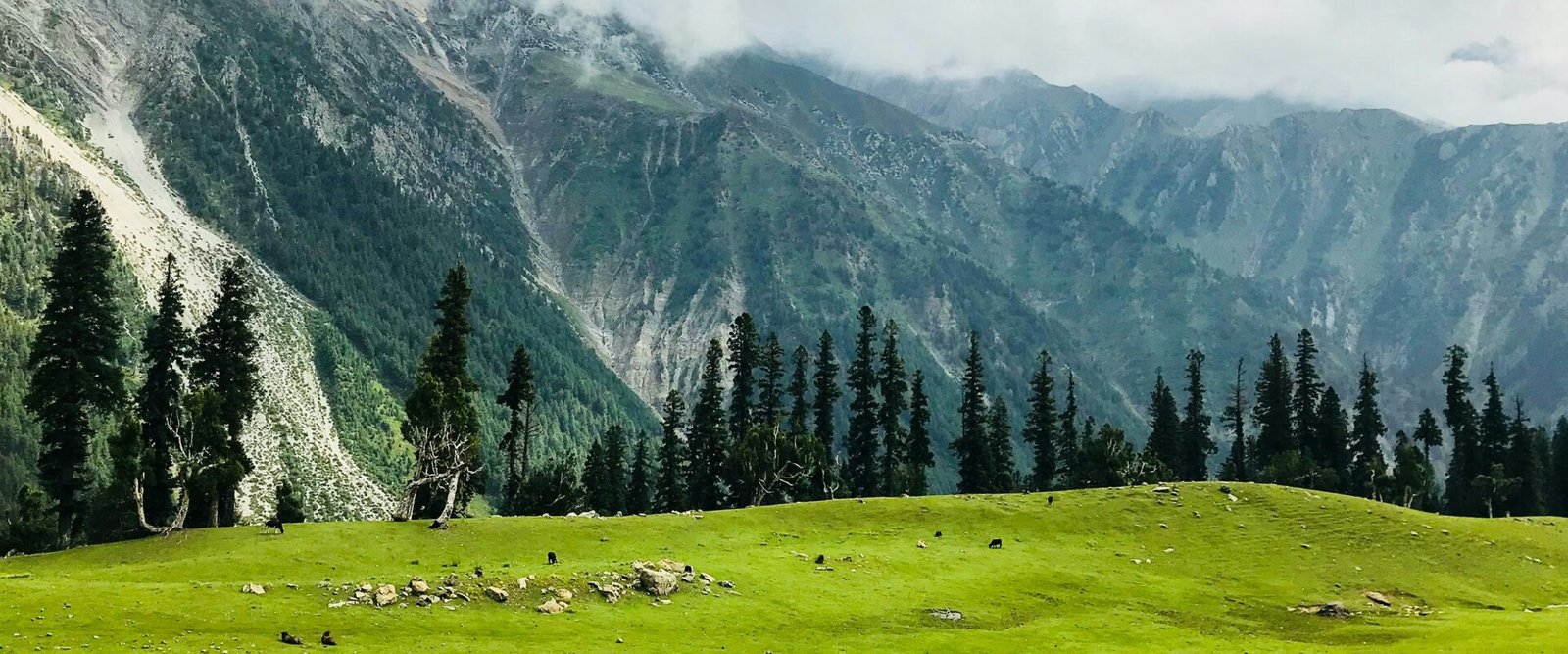 kashmir tour package