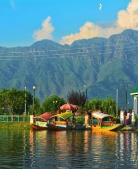 Shikara Rides on Dal Lake