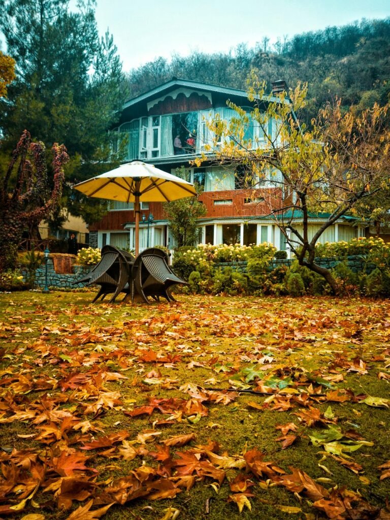 Kashmir Tour Packages